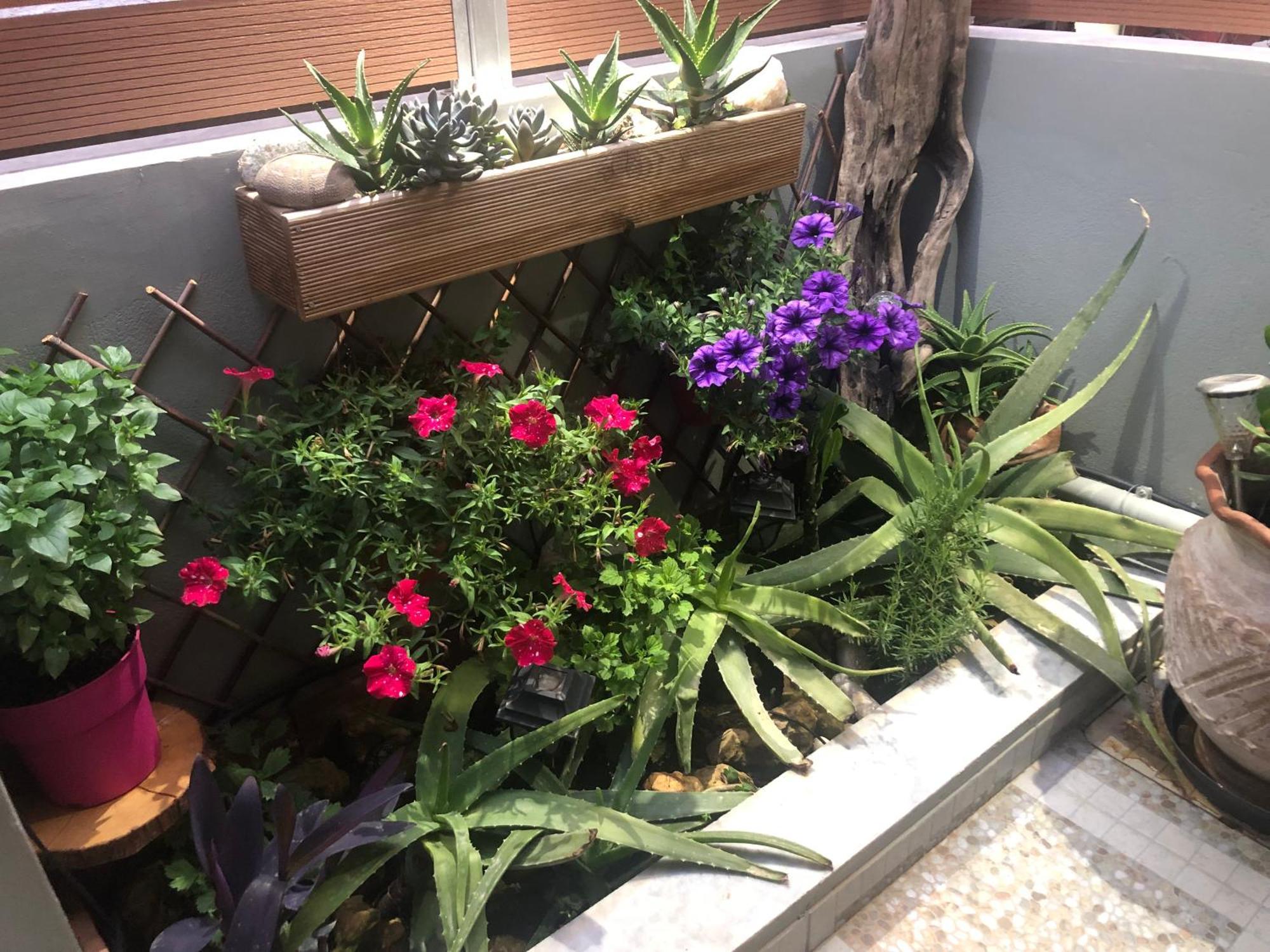 Summer Mood Chania  Ngoại thất bức ảnh